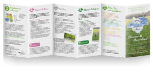 Faltblatt zum Klimamarkt Ammerland