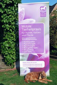 Rollup-Design für Tierheilpraktikerin Sarah Kopmann