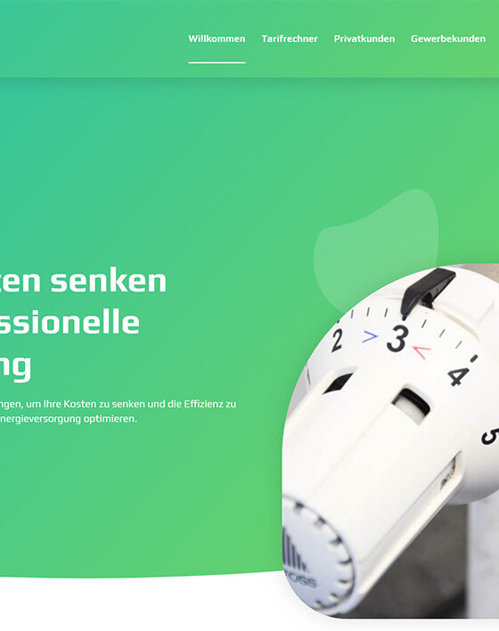 Webdesign der Homepage für Günstiger Energie Tarifoptimierung